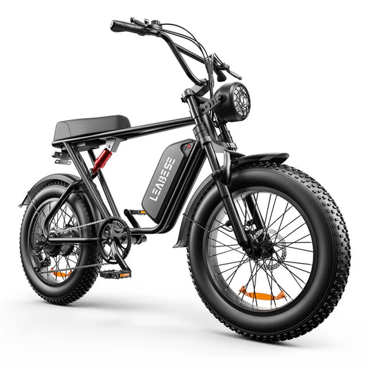 1000W 48V Lithium Battery Adult E Bike Fat Tire Electric Bike 20 Inch Mountain Fat Snow Big Fire USA OEM Mountain Ebike