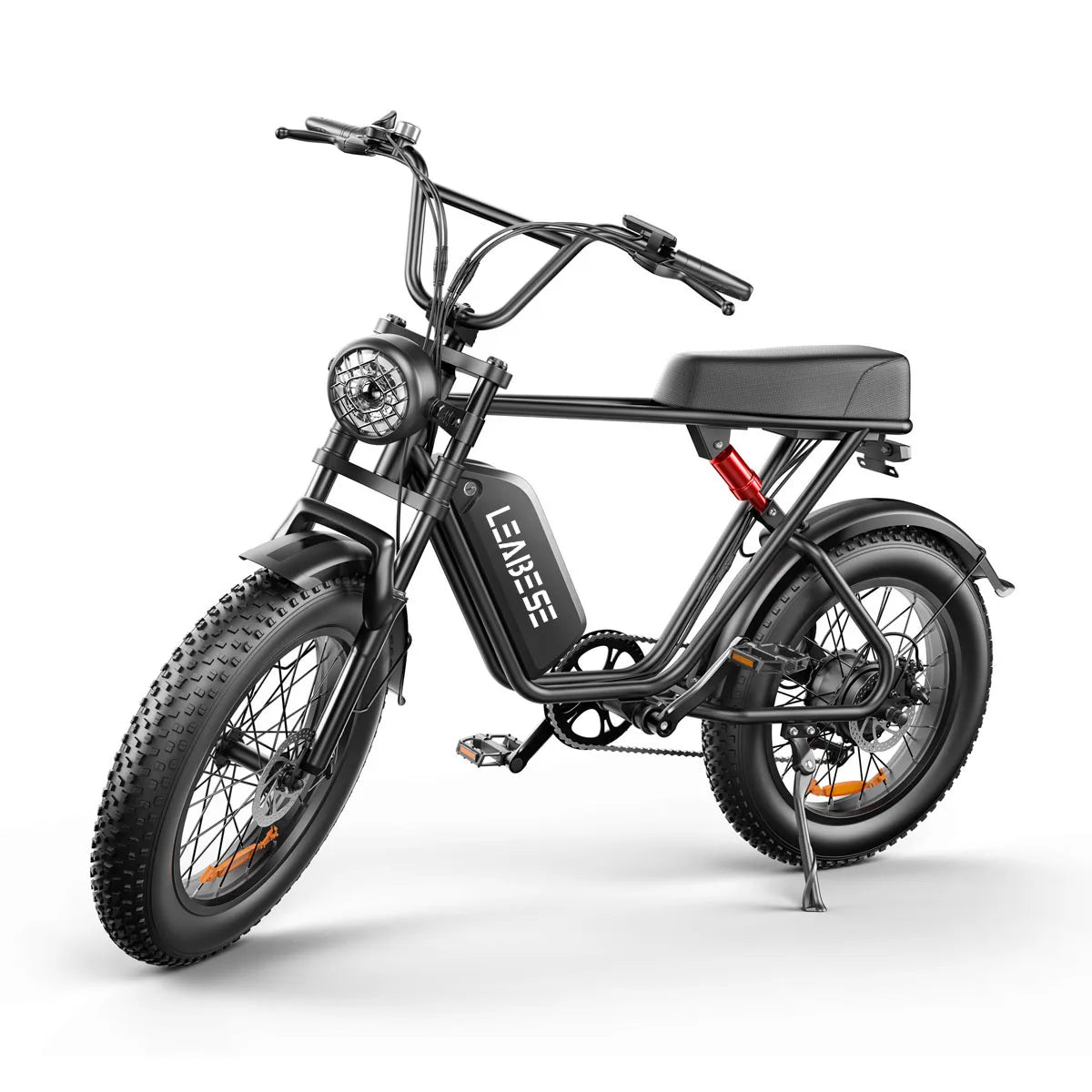 1000W 48V Lithium Battery Adult E Bike Fat Tire Electric Bike 20 Inch Mountain Fat Snow Big Fire USA OEM Mountain Ebike