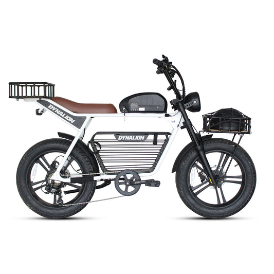 1000w 48v Motor Power Retro E Bike for Sale Swappable 16Ah Lithium Battery 50km Long Range Electric Bike Road