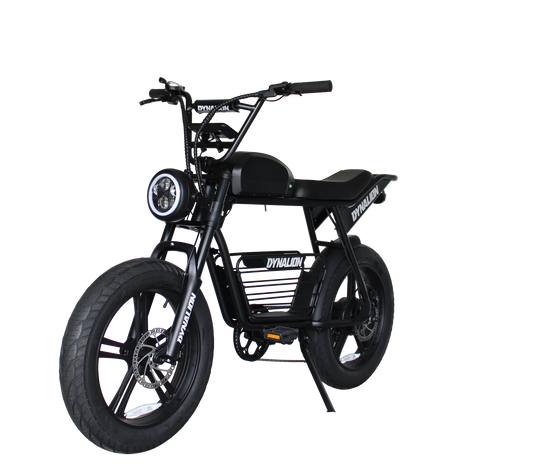 1000W Fat Tire Electric Bike Steel Frame Bicycle Super Electric Dirt Bike Tyre Electric Fat Bike