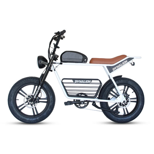 1000W Fat Tire Electric Bike Steel Frame Bicycle Super Electric Dirt Bike Tyre Electric Fat Bike