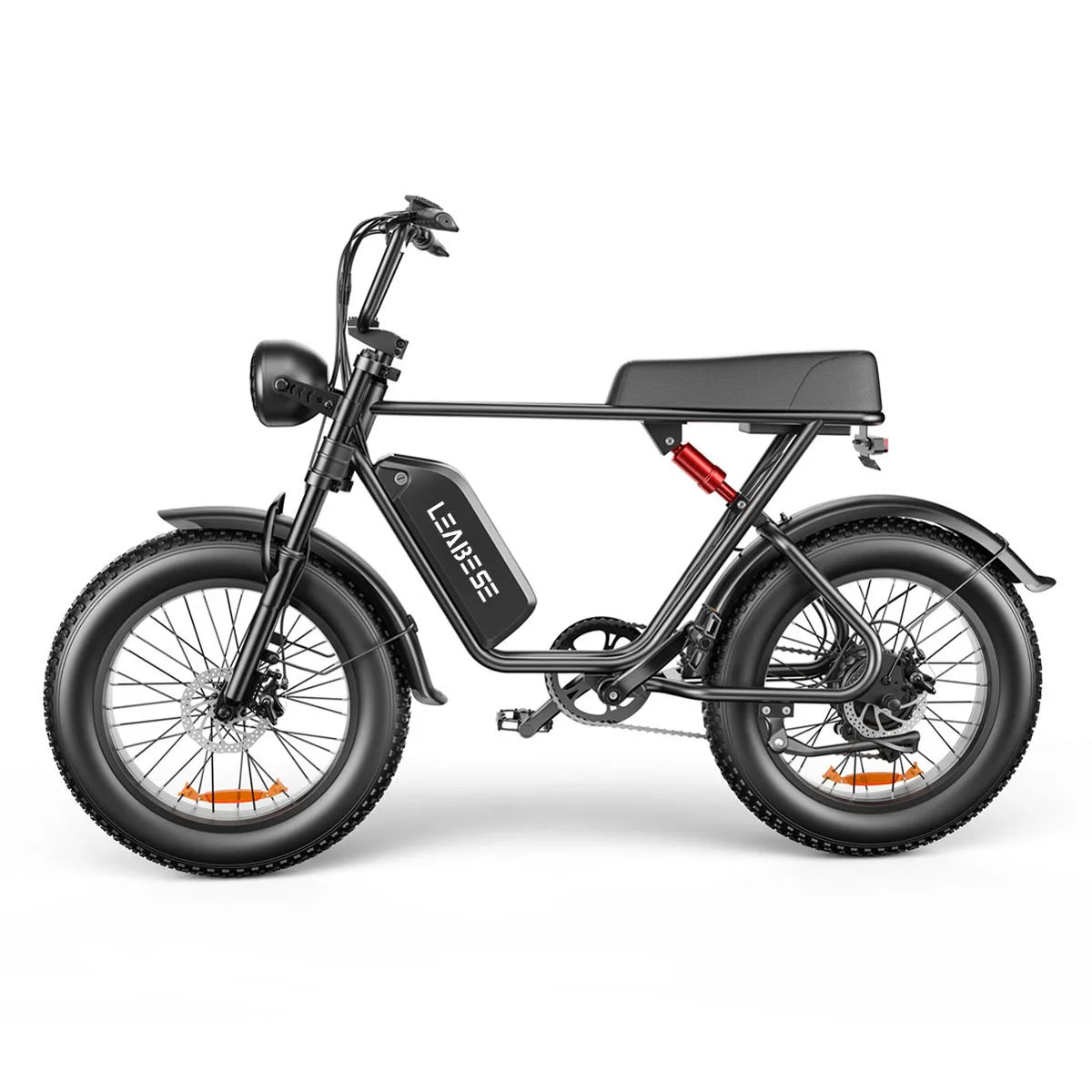 1000W 48V Lithium Battery Adult E Bike Fat Tire Electric Bike 20 Inch Mountain Fat Snow Big Fire USA OEM Mountain Ebike
