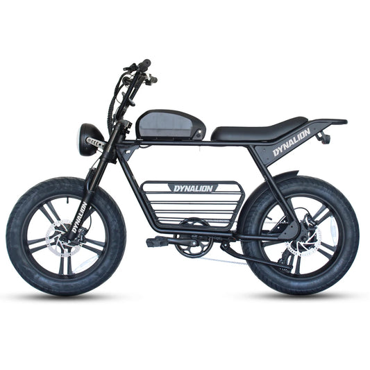 1000w 48v Motor Power Retro E Bike for Sale Swappable 16Ah Lithium Battery 50km Long Range Electric Bike Road
