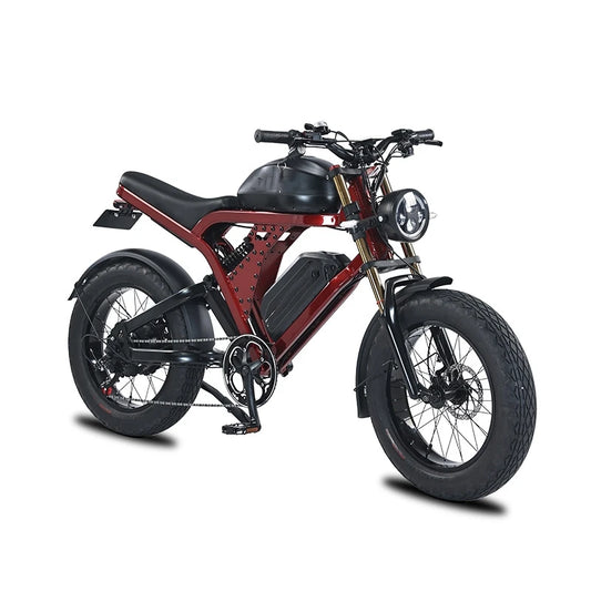 100-120KM Long Range Dual Battery Mountain Ebike 1500W 52V Full Suspension Hydraulic Brake Fat Tire E Bike