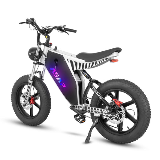 1000W Motor 7 Speed 48V 19AH Removable Battery 20 Inch Tire Adults Aluminum Electric Mountain Bike
